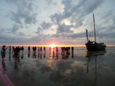 Zomer Waddenzee